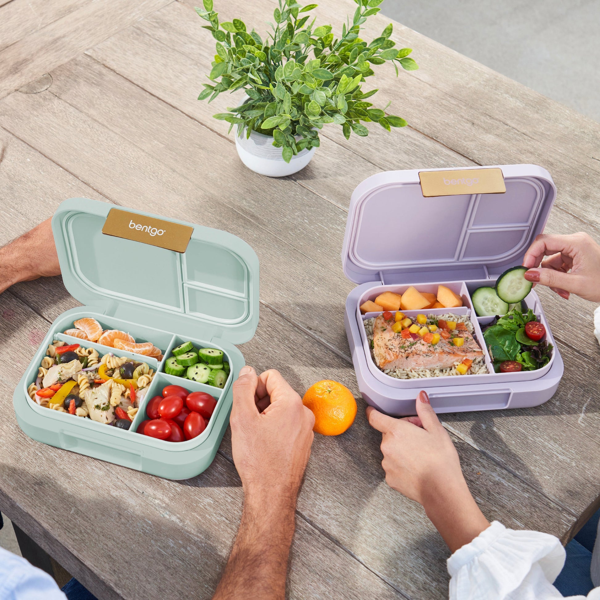 bentgo-modern-lunch-box-2-pack-t2 COSTCOBMCPRODUCTIMAGE_2.jpg